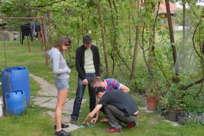 Piknik - foto povečava