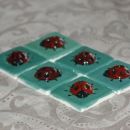 Poglazirane pikapolonice