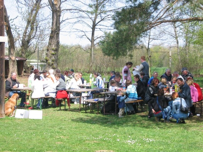 PIKNIK FORUMAŠEV 23.4.2005 - foto povečava