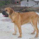 Asha SLO LAND, 5 mesecev