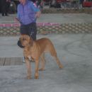 CAC LJ 2004
Amos SLO LAND
