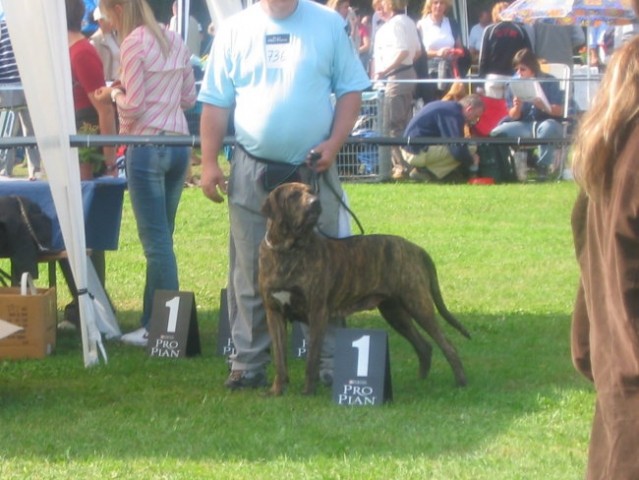 CACIB Maribor 2004, ANA OD ČENTE,
CAC, CACIB, Klubska prvakinja 2004