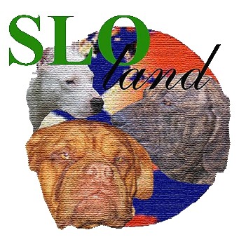     www.sloland.net


