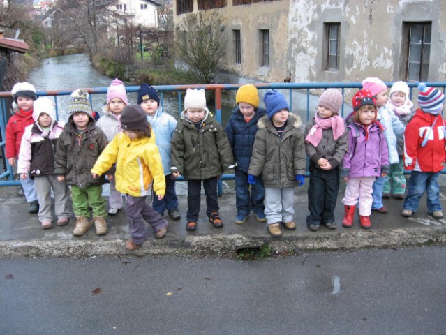 Hranjenje račk in tek (10. 12. 2007) - foto