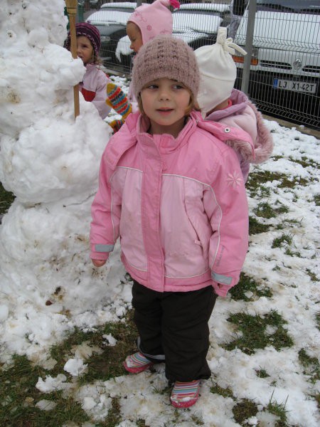Sneg, sneg (5. 3. 2008) - foto povečava