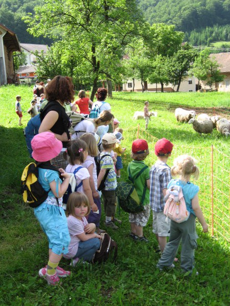 Obisk ekološke kmetije (28. 5. 2008) - foto povečava
