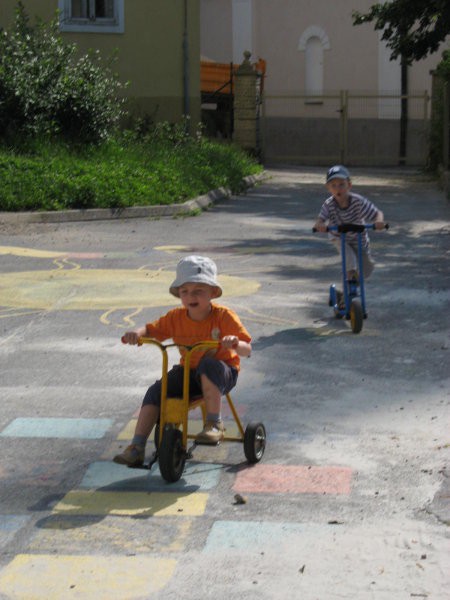 20. 6. 2008 - foto povečava