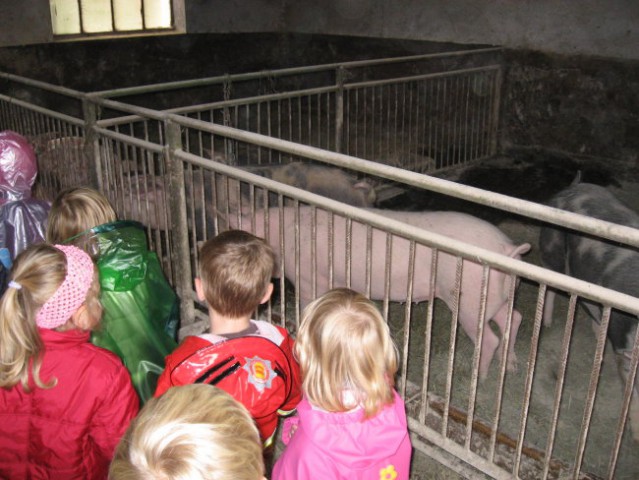 Obisk kmetije (24. 9. 2008) - foto
