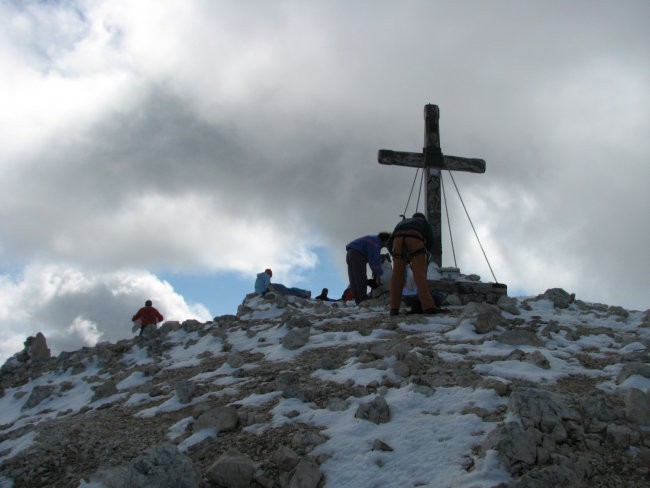 Mangrt - foto povečava