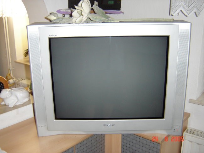 Vinko - foto povečava