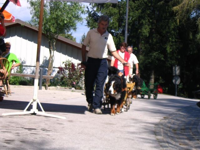 1. Piknik švicarskih pasem, Janče 15.9.2007 - foto