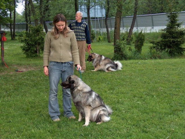 Čajka in Branka