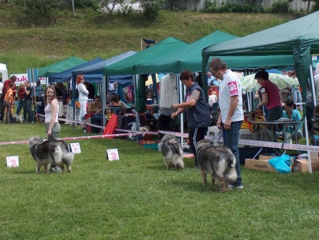 CAC Hrušica, 28.5.2006 - foto