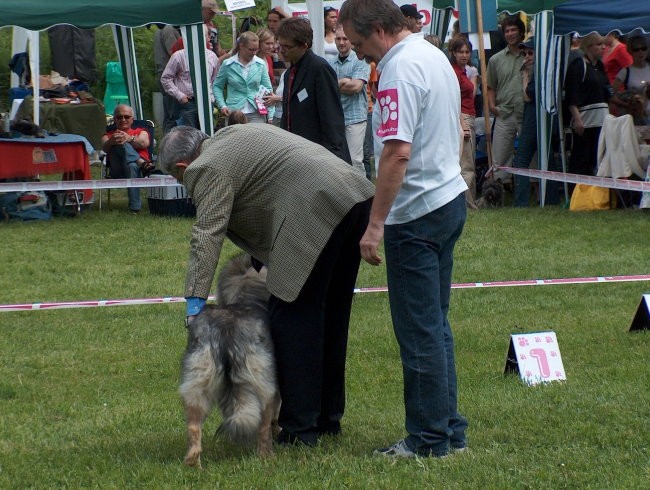 CAC Hrušica, 28.5.2006 - foto povečava