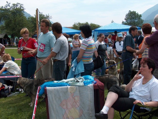 CAC Hrušica, 28.5.2006 - foto povečava