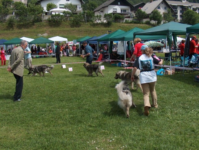 CAC Hrušica, 28.5.2006 - foto povečava