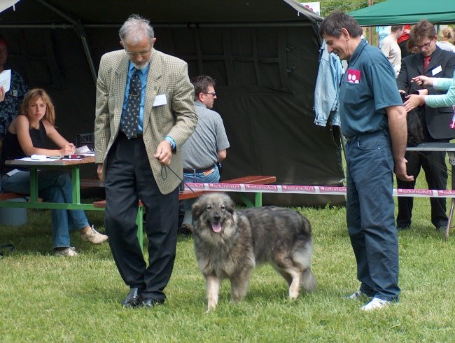 CAC Hrušica, 28.5.2006 - foto povečava