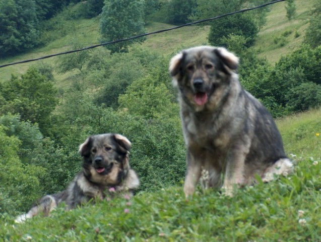 Pižmohtov ranč - foto