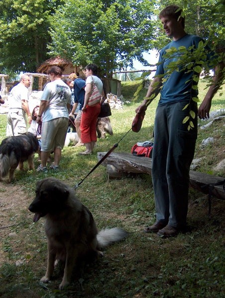 Piknik kraševcev 24.6.2006 - foto povečava