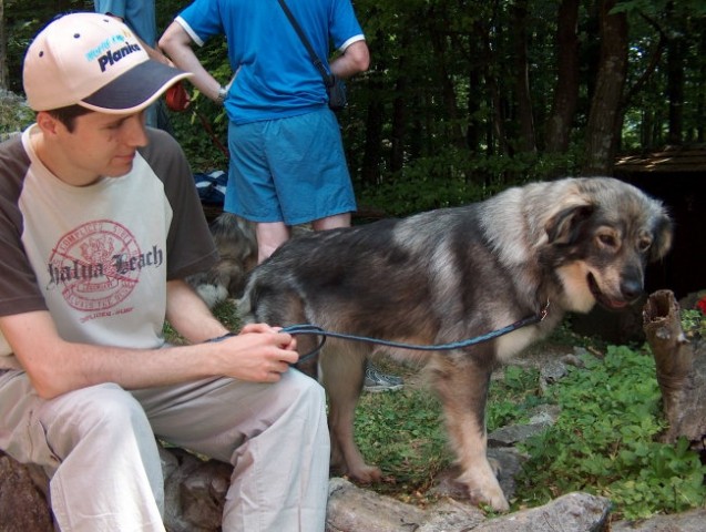 Piknik kraševcev 24.6.2006 - foto