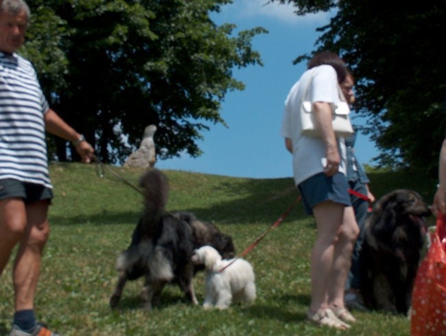 Piknik kraševcev 24.6.2006 - foto povečava