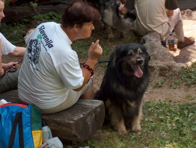 Piknik kraševcev 24.6.2006 - foto