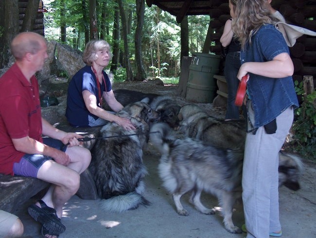 Piknik kraševcev 24.6.2006 - foto povečava