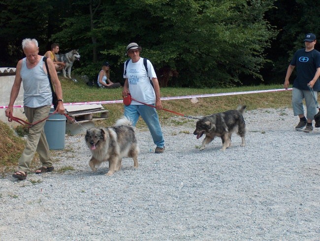 Piknik kraševcev 24.6.2006 - foto povečava