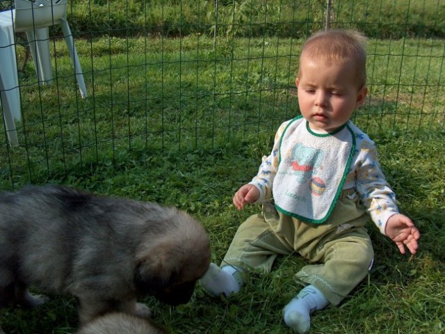 Car-lanov podmladek s Čajkinim podmladkom :)