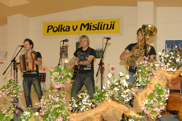 Koncert Mislinja julij 2009 - foto