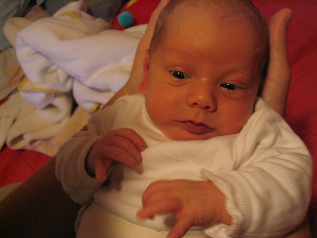 Timi novorojenček - foto