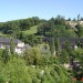 Se en lep razgled na Luxembursko zelenje :)